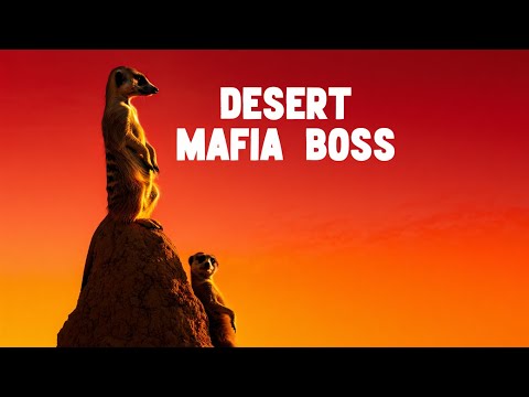 Meerkat - Acts tough in a group, “I’m small but I yell big!”  | national geographic kids