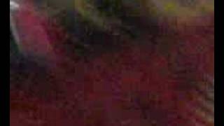 no c olvidar en expo tec bitter