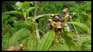 #4Survival in the wild forest