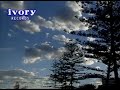 1 Whitney Houston One Moment In Time Ivory Records