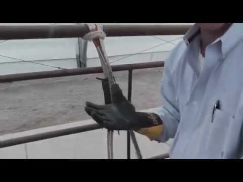 Bull Rider Coach - Rosining Your Bull Rope