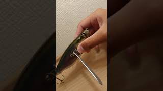 平瀬彪 撮影  購入 ルアー