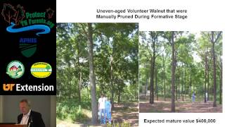 Walnut Grower's Perspective on Thousand Cankers Disease, Harlan Palm