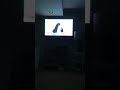 Opening To Oswald Welcome To Big City 2003 DVD