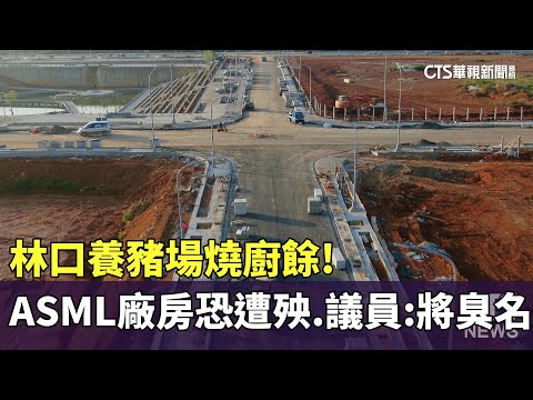 林口養豬場燒廚餘！ASML廠房恐遭殃　議員：將臭名遠播