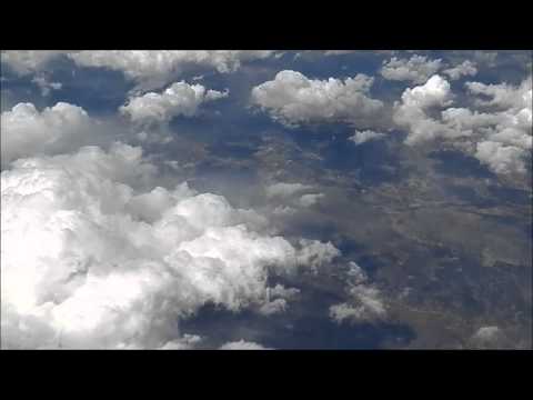 The Marketts Bella Delena