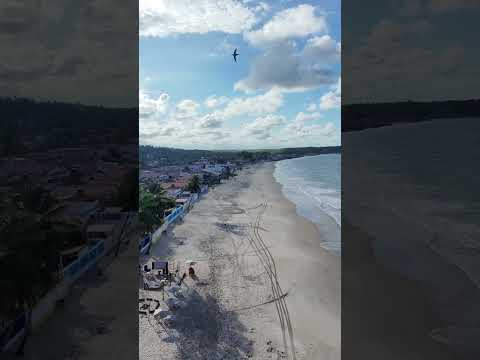 Baia da Traição PB 📍#dronevideo #drone #praia 