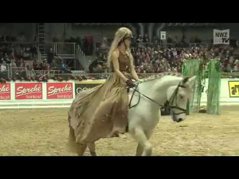 Reitspaß auf den Oldenburger Pferdetagen