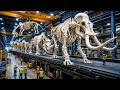 Inside A Gelatin Capsule Factory: How Animal Bones Become Empty Capsules