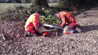 &quot;l&#39;arbre va tomber&quot;