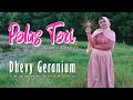 PELAS TERI DHEVY GERANIUM REGGAE VERSION