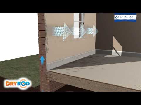 What Is Rising Damp? - Safeguard Europe