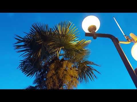 Veceri Boje Narance (Orange Colors Evenings) Djani Marsan, my cover