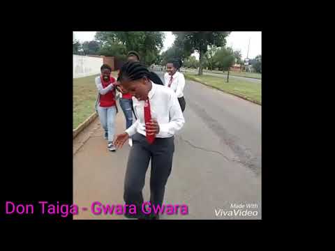 Gwara gwara Don Taiga - South African Girls moves Afrobeats Dance Music