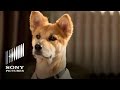 ANNIE Movie 2014 Meet Sandy The Dog
