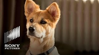 ANNIE Movie (2014) - Meet Sandy the Dog