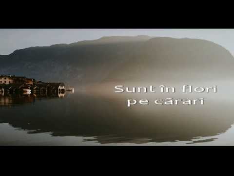 Lorena, Amelia & Laura - Semnele iubirii