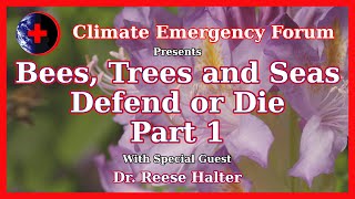 Bees, Trees and Seas - Defend or Die - Part 1