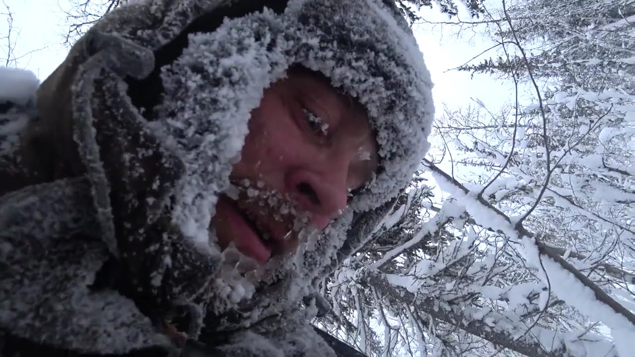 Реальность обустройства охотничьего участка с нуля. 2019-2020 #28