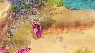 Nine Parchments Cheat Demo