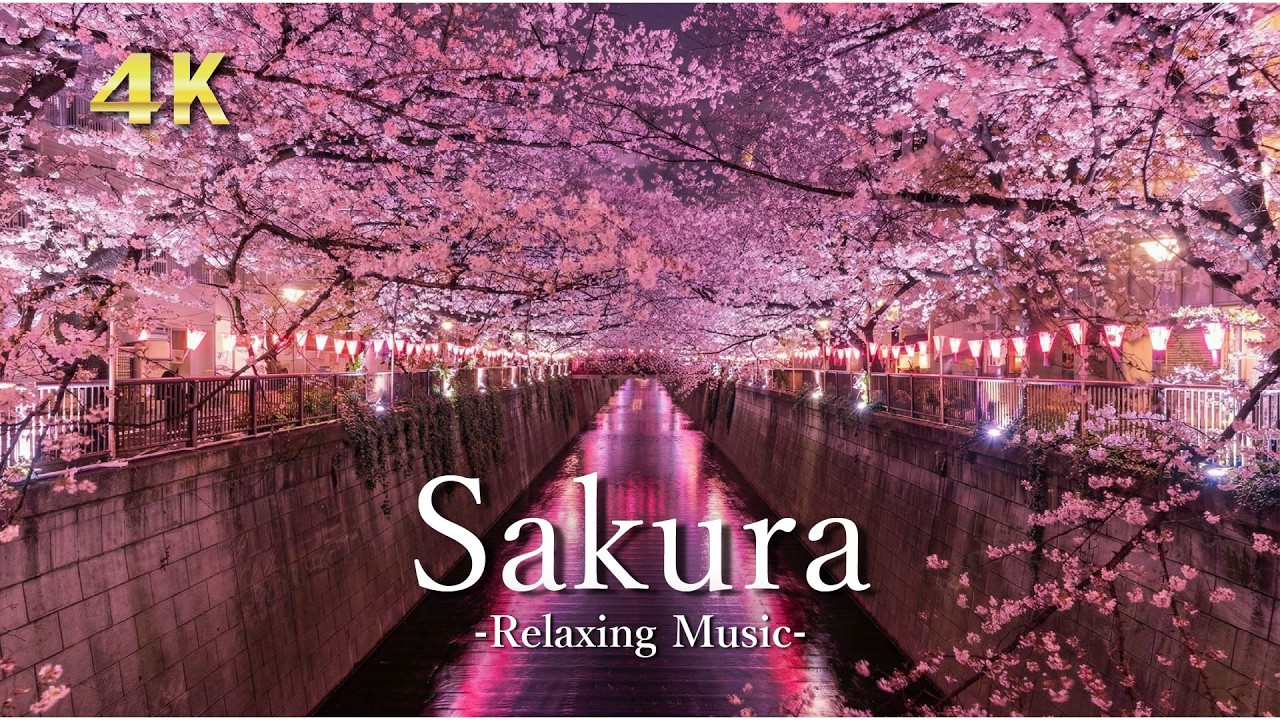 4K 桜の絶景【リラックス音楽】春の日本を感じる癒しの風景｜Sakura Relaxing Scenery