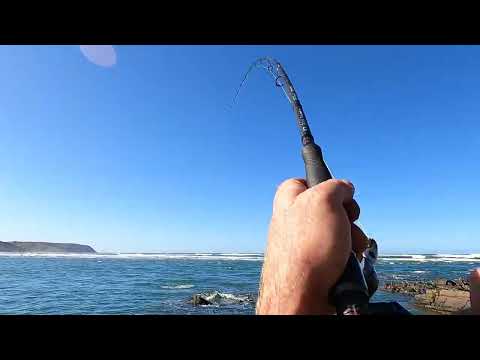 Garrick chasing plug , top water smash