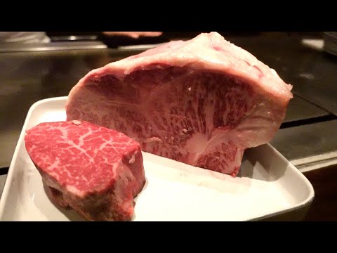 $300 Teppanyaki wagyu steak Course meal in Tokyo