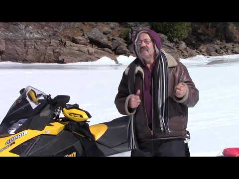 Nelu Veres  - Floarea vieti mele