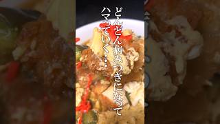 【絶品】とろとろナスとチーズカツが溶け合う出汁茶漬け🍚 #おすすめ #料理 #飯テロ