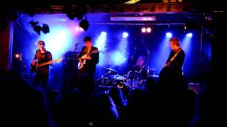 Omnivision @ Vasaparken - The Birdblanket Harmony