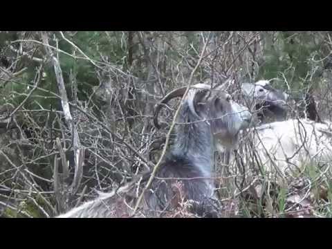 Trekking en el Valle de Zagoria (Albania)