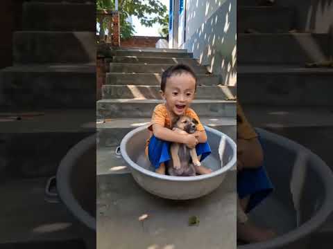 Epic Tub Slide Fail! 😂🐶 #shorts #Funny #Comedy