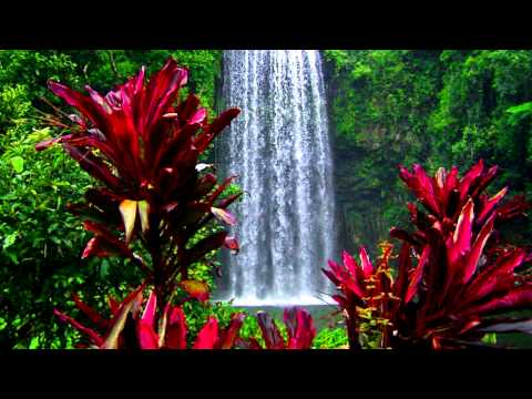 Queen Drupatee Ramgoonai - Bole [2013] BRAND NEW RELEASE