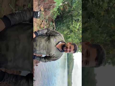 Tilaposauro de Boa Vista da aparecida pr
