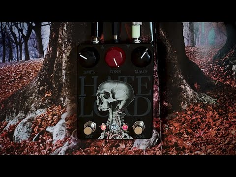 Hate Lord with DEMO Proco Rat + Russian Big Muff Ehx bass guitar image 5