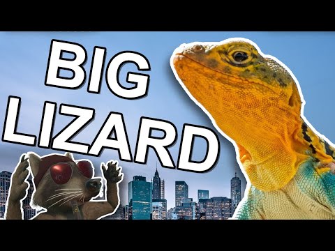"Big Lizard!!! Ah!!!" 🎵