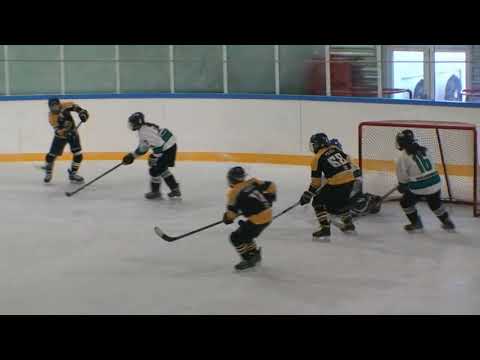 U14 Zempléni Hiúzok - White Sharks 2021 03 20 összefoglaló