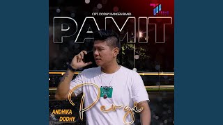 Download lagu Pamit Pergi mp3
