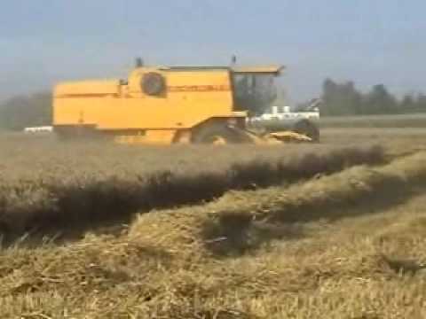 Demarez-Marreel: Maaidorsen.