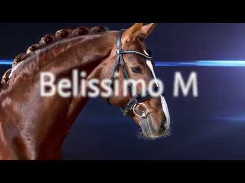 Trailer Belissimo M