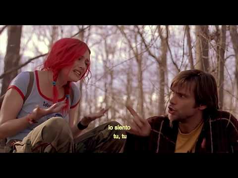3 películas románticas para ver en Netflix: Eterno resplandor de una mente sin recuerdos, One Day, La última carta de amor