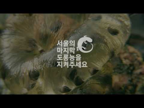 [StoryFunding] Baeksasil Valley (Eng dub)