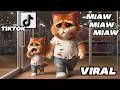 Poor Father S Last Gift To His Kitten A Very Sad Cat Story Miaw Miaw Miaw Miaw Sad Song Cat Visual