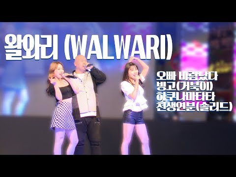 왈와리(WALWARI / 미스터 붐박스, 쥰키, 수현) 오빠 바람났다 / 빙고 / 하쿠나마타타 / 천생연분 [대덕구 대코뮤직페스티벌]