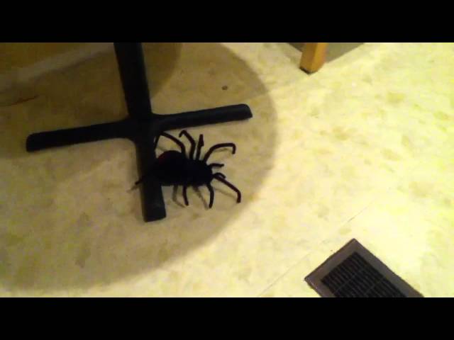 Ferngesteuerte Spinne - erschrecke Deine Mitmenschen