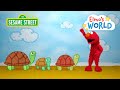 Sesame Street Elmo Learns About Turtles Elmo S World