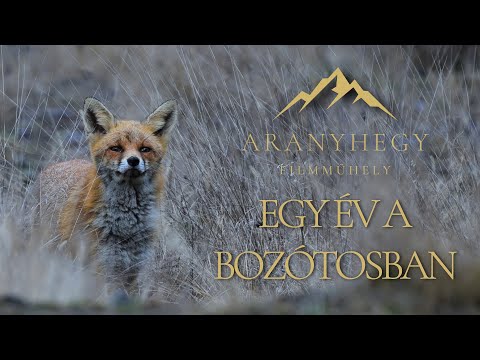Egy év a bozótosban (magyar természetfilm)
