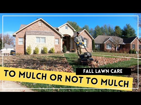 Mulching vs Bagging vs Side Discharge...Which is Best?  // Plus a Quick Fall Garden Tour!