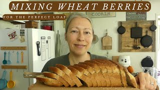 Mixing WHEAT BERRIES for the BEST BREAD