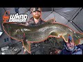 Video Thumbnail for Justin Jenken A.K.A. Assorted Meats Fishing (“Exotic” Fishing Youtuber - Full Interview)